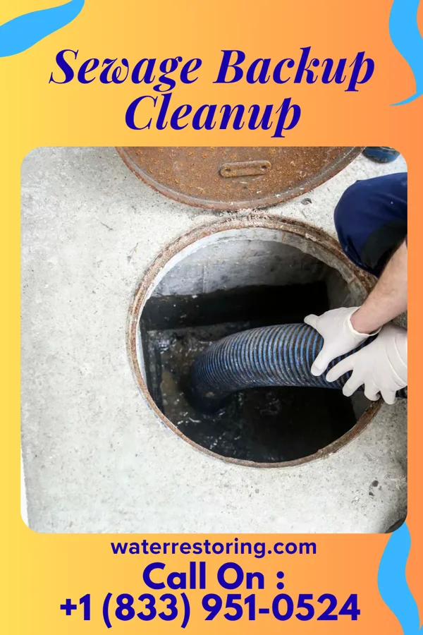 Sewage Backup Cleanup in Velda Village Hills, MO